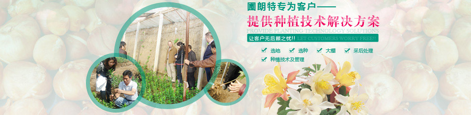 圃朗特為客戶提供種植技術解決方案