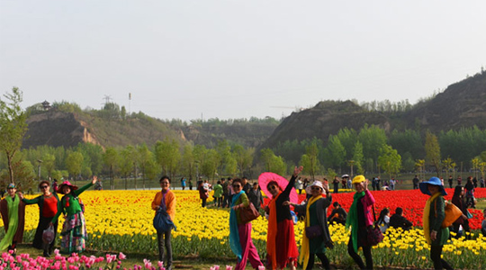 三門峽公園-圃朗特客戶案例