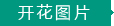 開花圖片