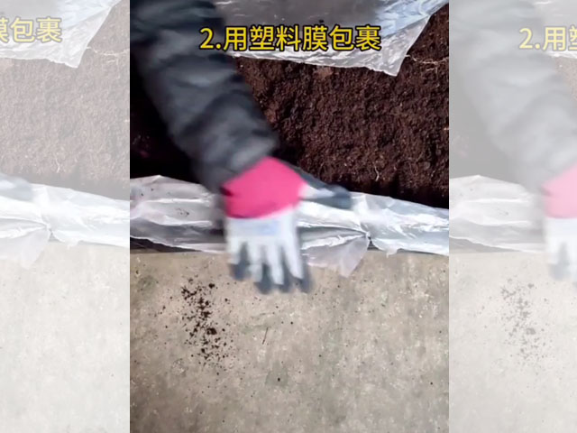 應(yīng)該怎樣儲存百合種球 應(yīng)該怎樣儲存百合種球