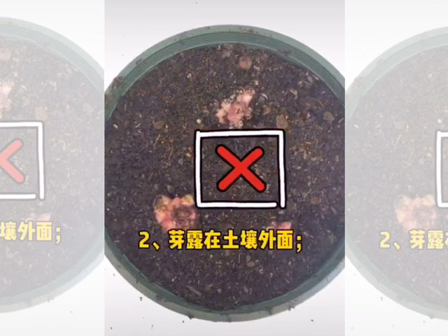 錯(cuò)誤示范 錯(cuò)誤示范