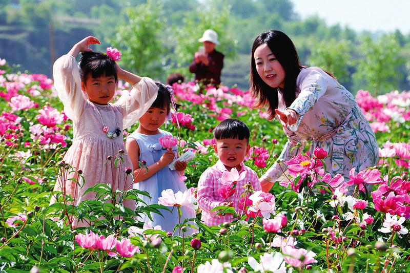 花海經(jīng)濟帶動鄉(xiāng)村旅游
