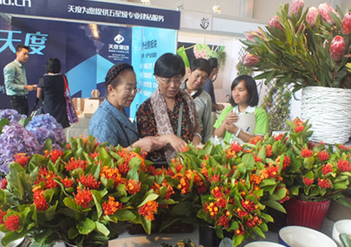 嬌艷欲滴的新優(yōu)切花備受關(guān)注 嬌艷欲滴的新優(yōu)切花備受關(guān)注