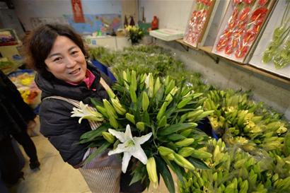 島城冬日綠意盎然百花爭艷