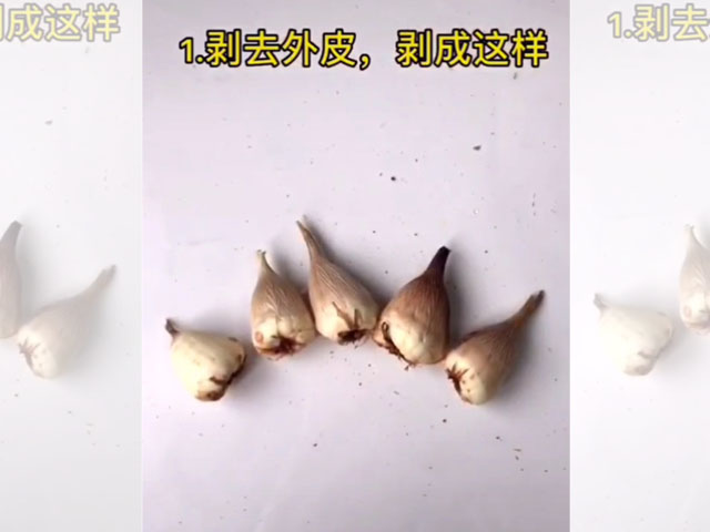 香雪蘭的種植方法