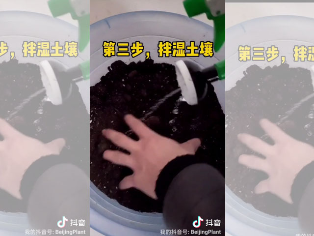 拌濕土壤 拌濕土壤