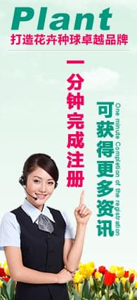 打造花卉種球第一品牌